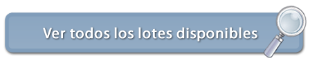 ver todos los lotes